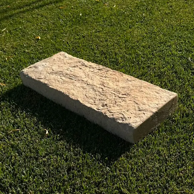 Duvar Harpuştası-4