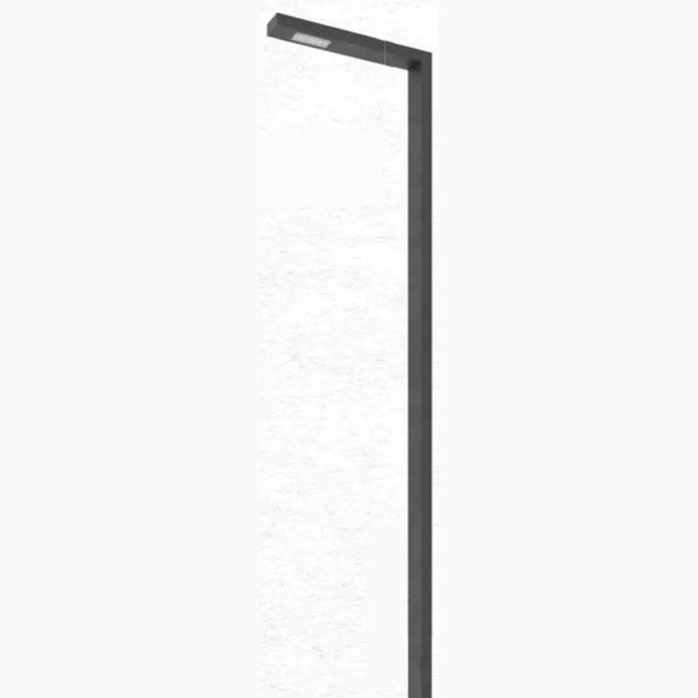 Bambu L