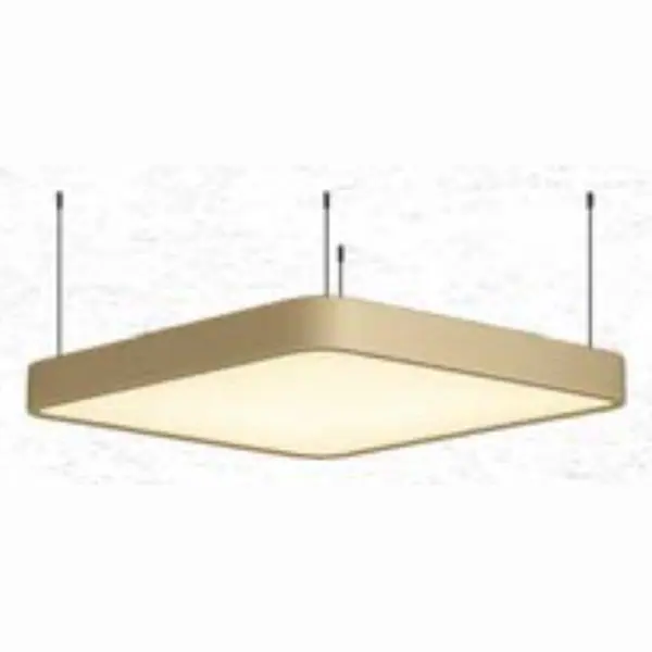 Canna Rectangle D