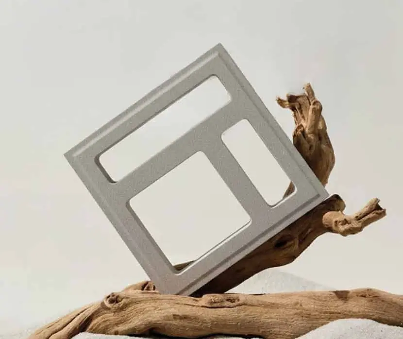 Frame